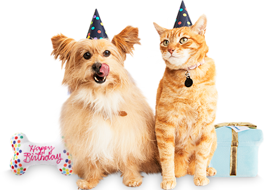 Petco 2024 dog birthday