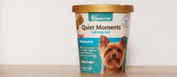 Pet Supplies Must-haves for New Dog Owners