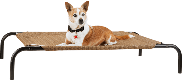 Pet Supplies Pet Food And Pet Products Petco