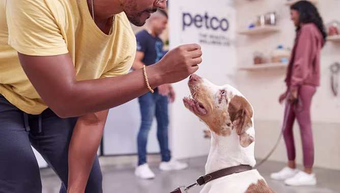 Professional Pet Training Services