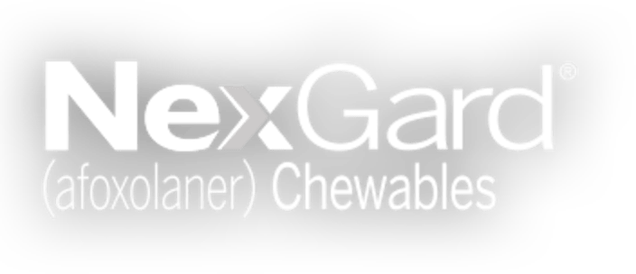 Nexgard for dogs clearance petco