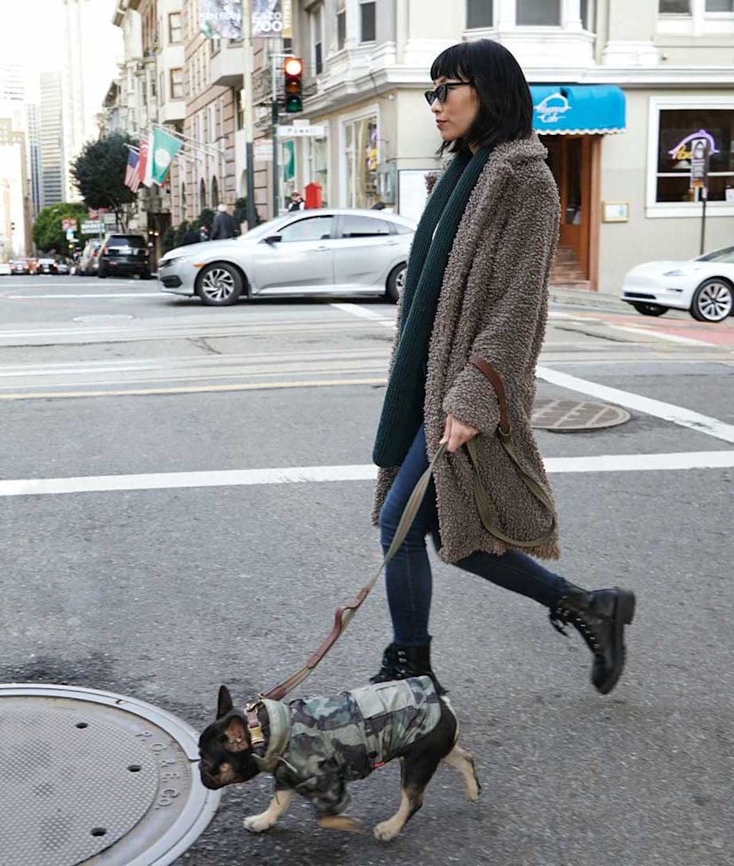 Woman walking French Bulldog wearing Reddy apparel