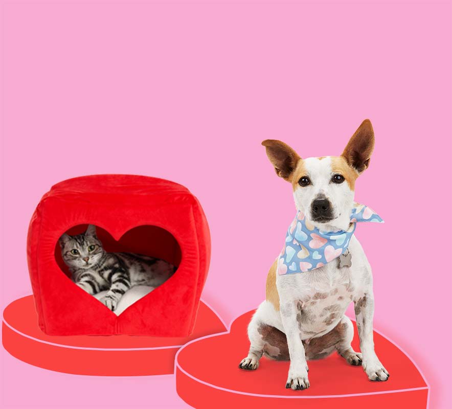 Valentine's Day themed pet products.