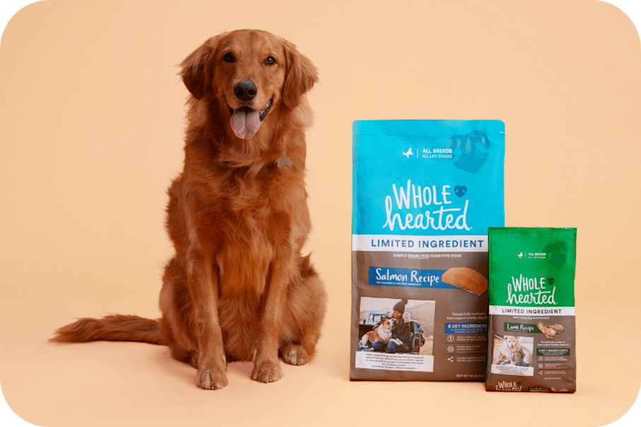 Petco's Whole Hearted vs Petsmart's Authority dog food mashup 