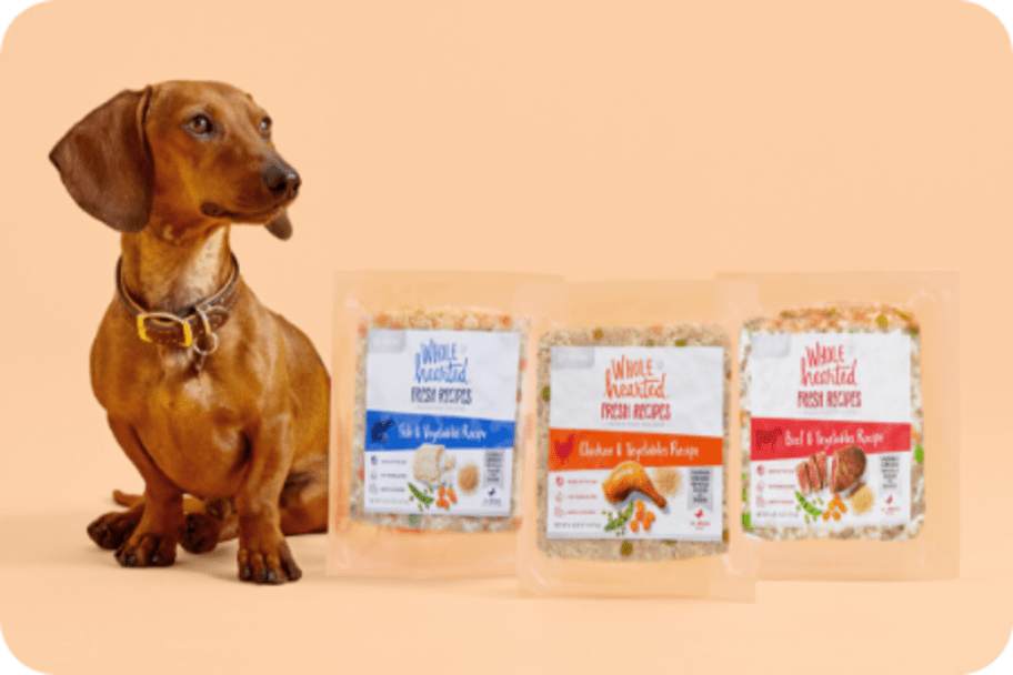 Wholehearted dog outlet food manufacturer