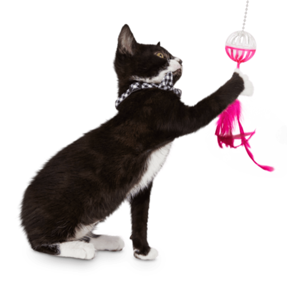 Christmas Cat Toys Kitten Toys For Indoor Cats Interactive Mouse Cat