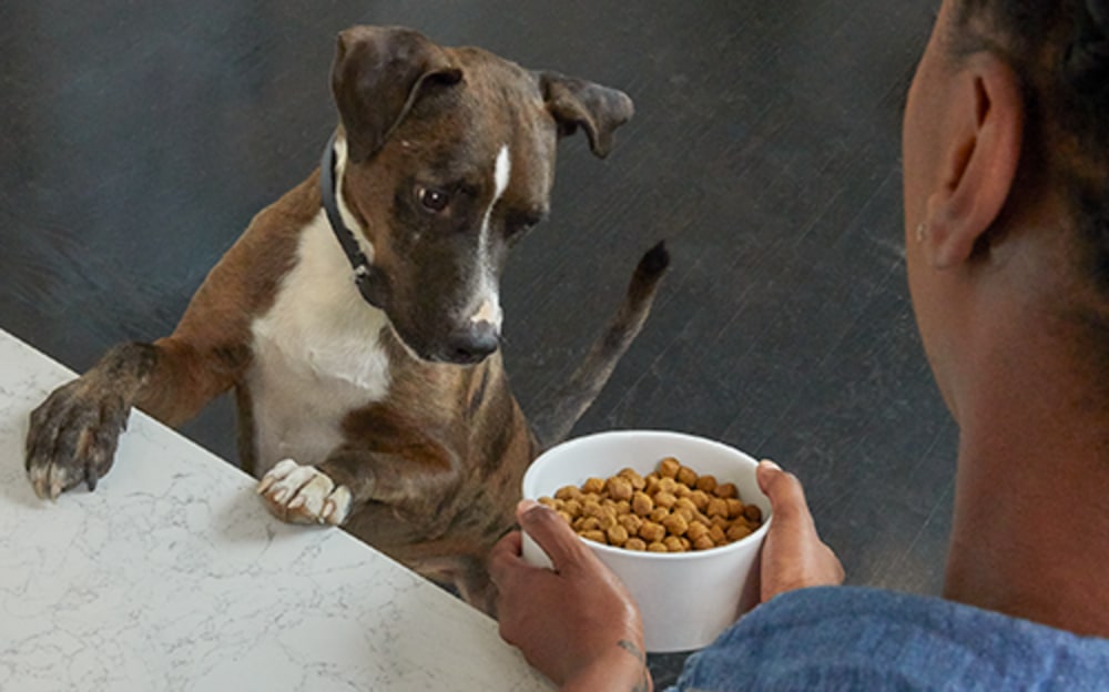 Petco getting shop rid of food