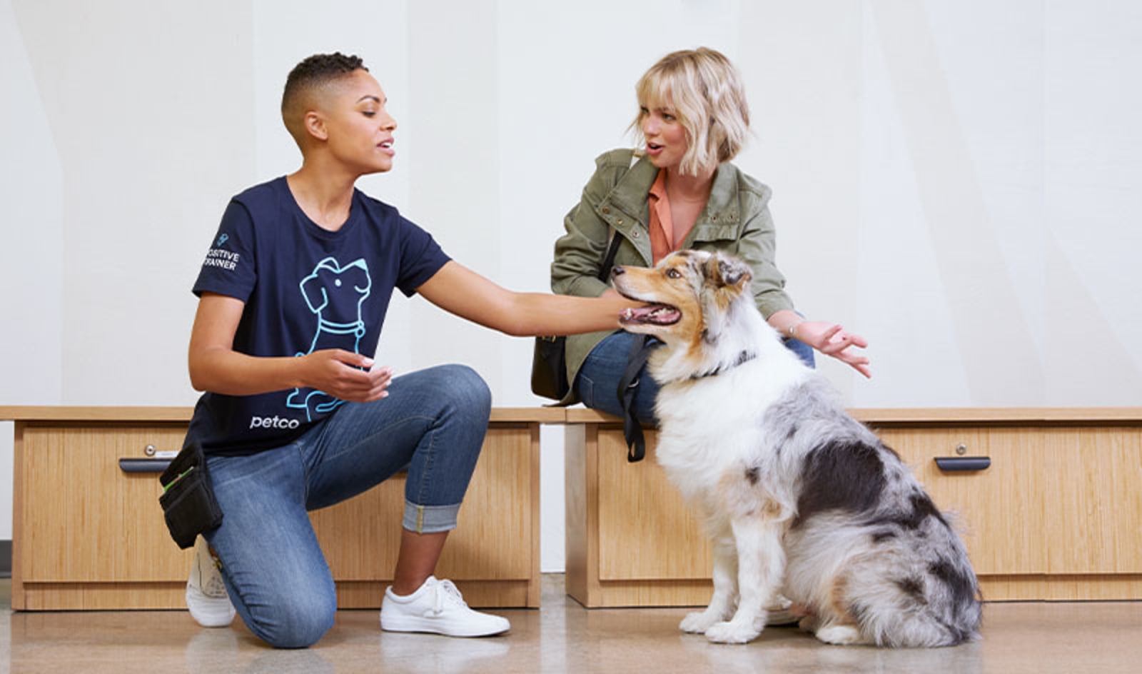 Canine Good Citizen Test & Canine Good Citizen Training | Petco