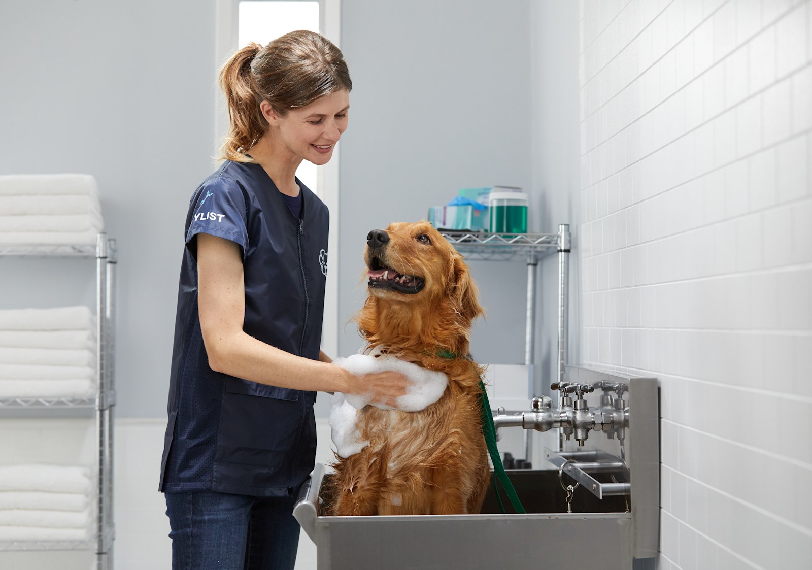 Petco grooming best sale self service