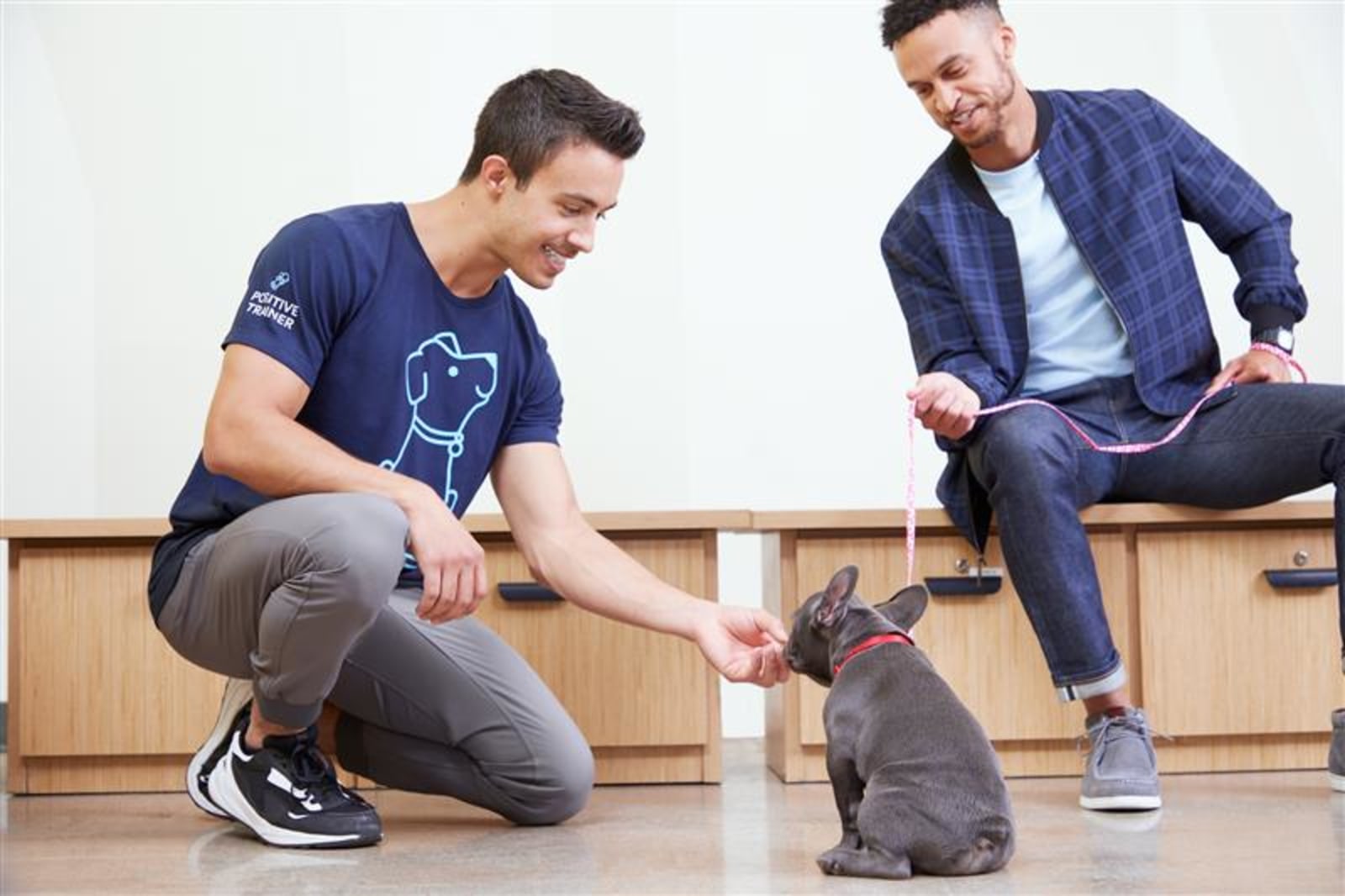 Petco best sale puppy school