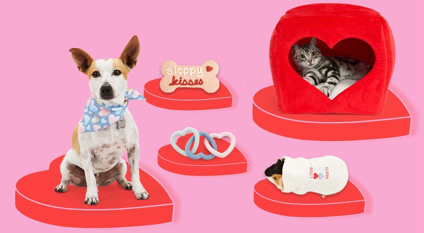 Valentine's Day themed pet products.