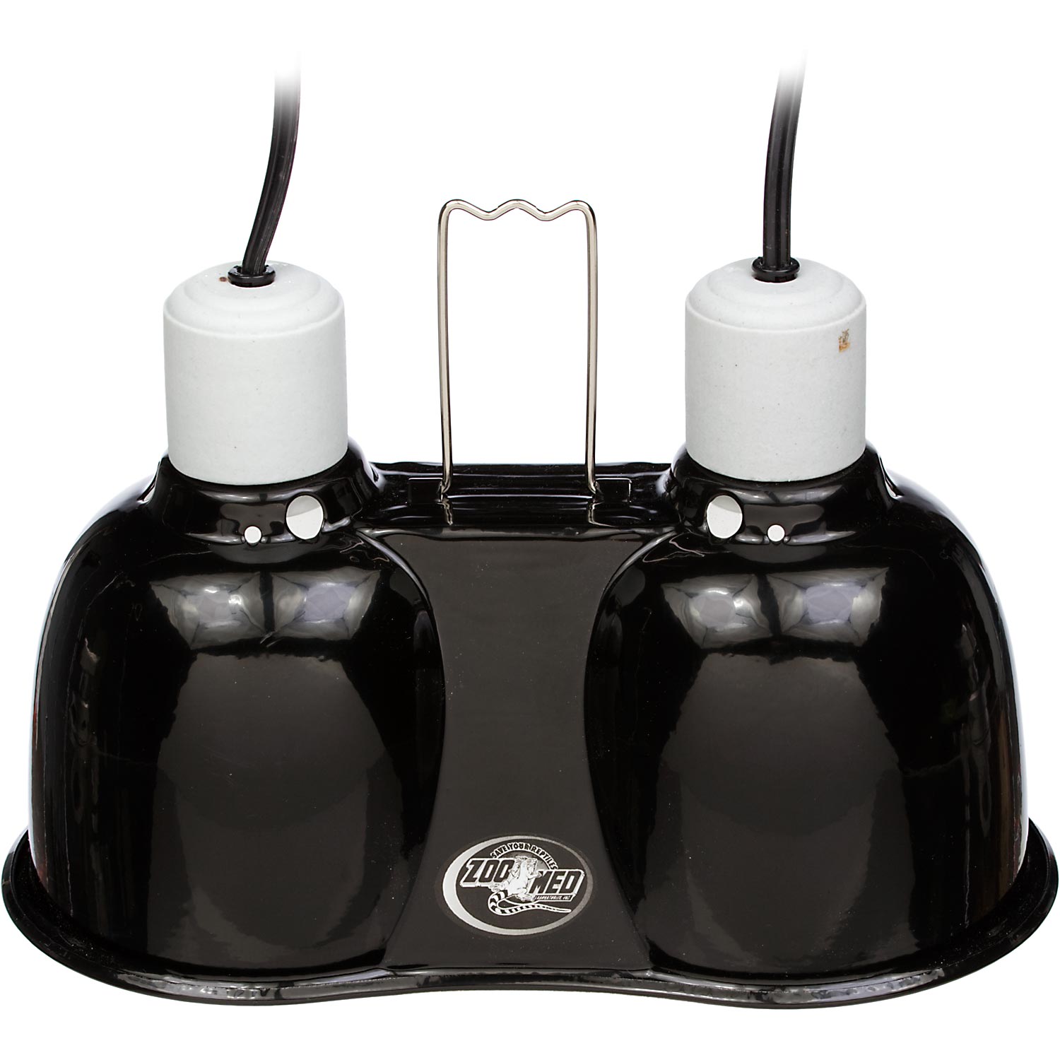 Hermit Crab Care Procedures Pet Care Article