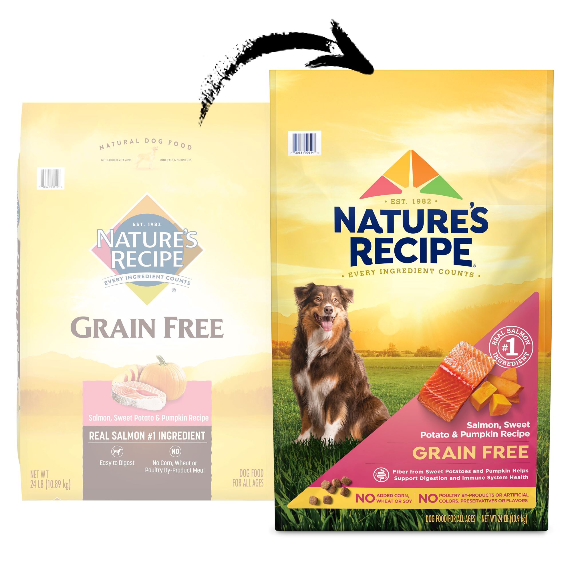 Best corn free dog food sale