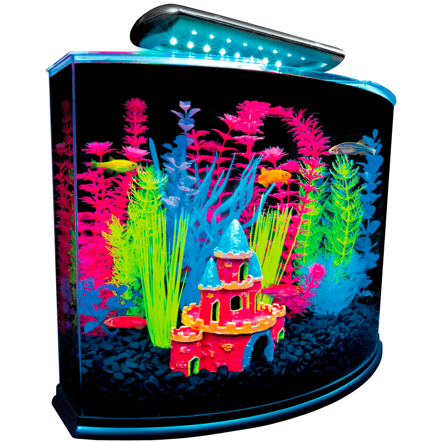 Beautiful Glofish Tank  Fish Aquarium Decorations