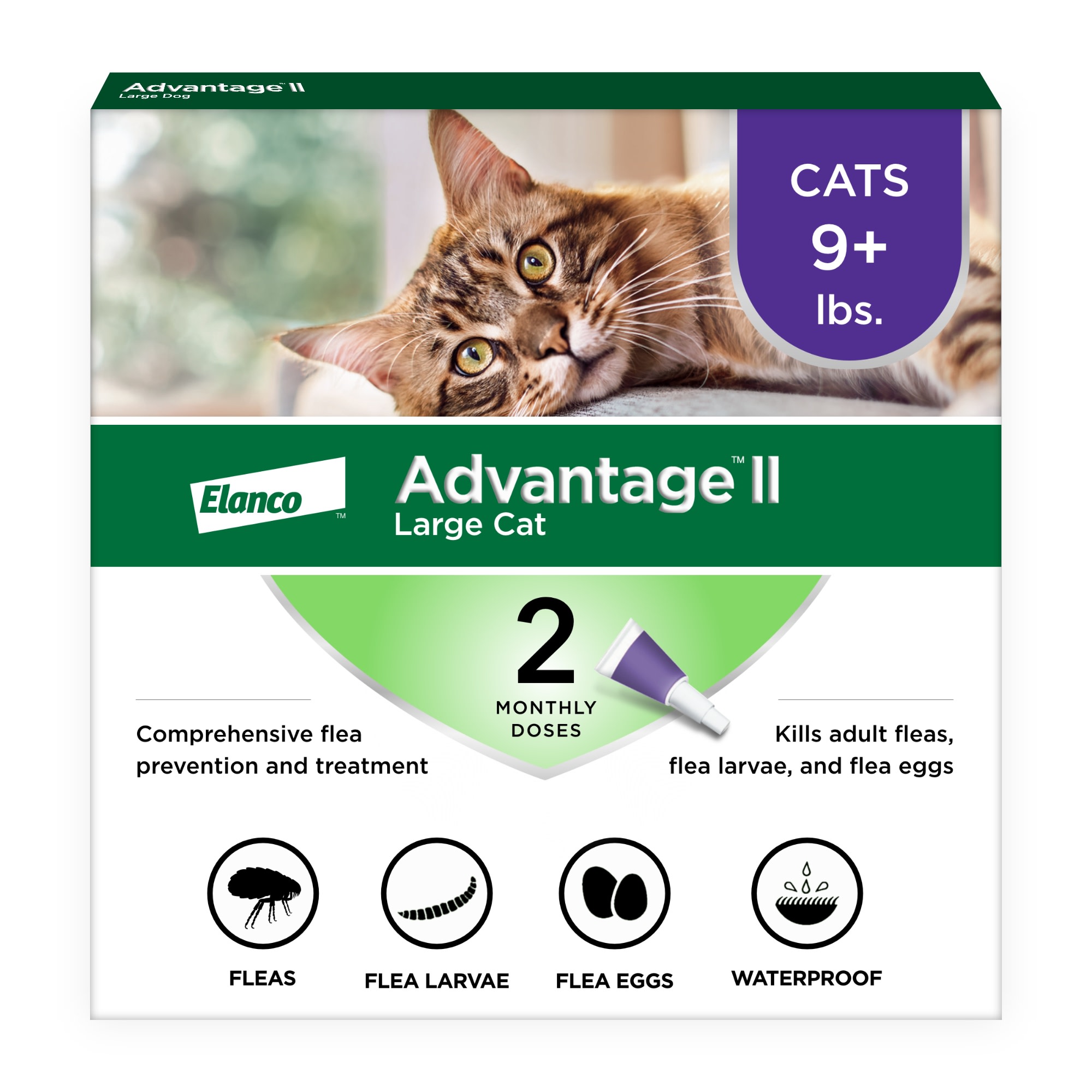 Flea Tick Prevention Treatment Supplies Petco