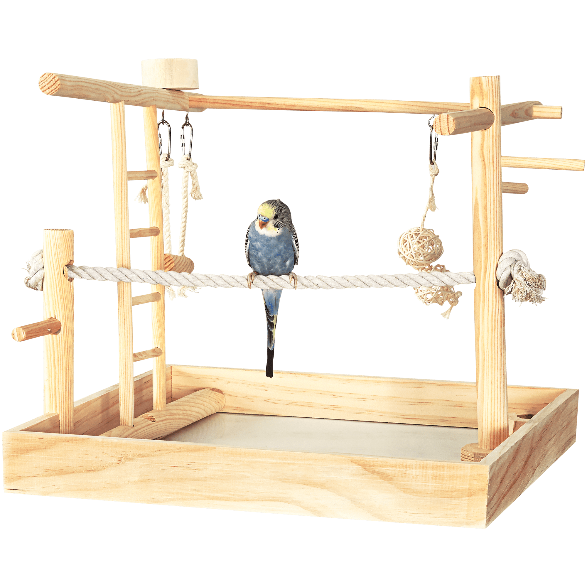lovebird toys