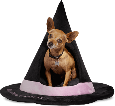 🎃 2023 Halloween Pet Shop: Treats, Costumes & Toys