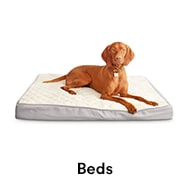Dog Beds