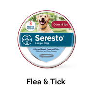 Dog Flea & Tick