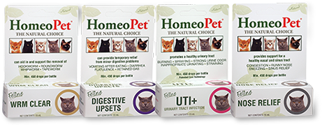 Homeopet wrm clear petco shop