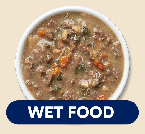 Wet Food
