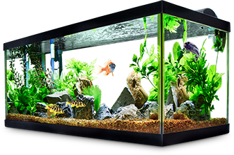 Fish Tank Fish Aquariums Kits Stands Petco