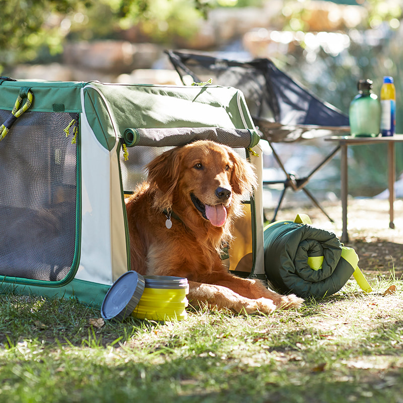 Dog Harnesses Best No Pull & Step in Dog Harnesses Petco