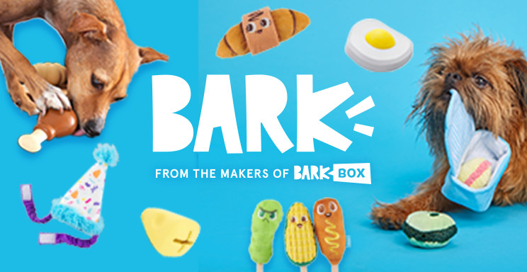 Dog toy box petco on sale