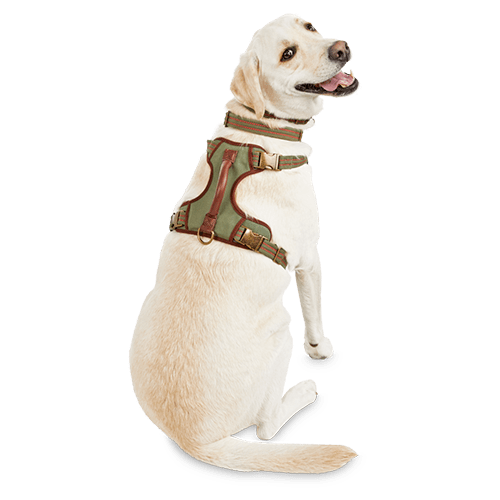 Walkin' Lift-n-Step Harness, Full Body Dog Harness