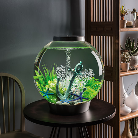 Biorb fish tank on sale decorations