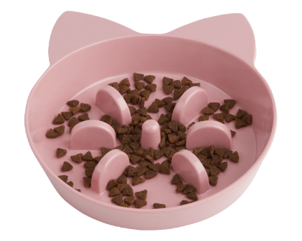 Cat feeding plate sale