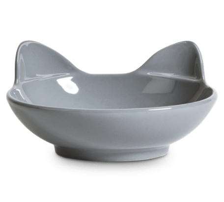 Cat in hot sale bowl