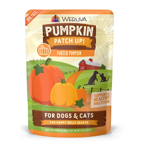 Cat Diarrhea Or Loose Stools Petco