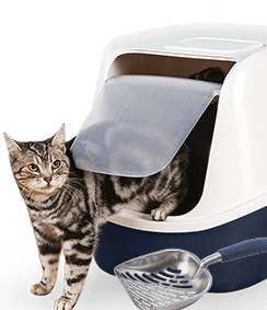 Open Cat Litter Box with High Side,Anti-Splashing Cats Litters Pan