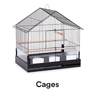 Bird Cages