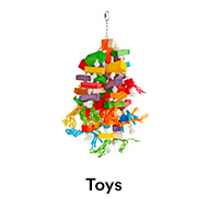 Bird Toys