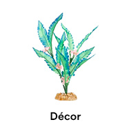 Decor