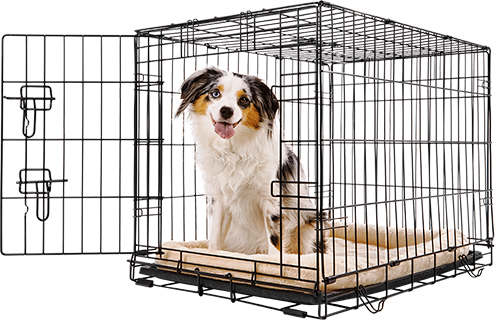 Petco best sale dog cages