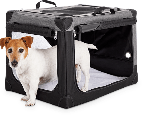 Dog car safety products: Best carriers, crates and harnesses