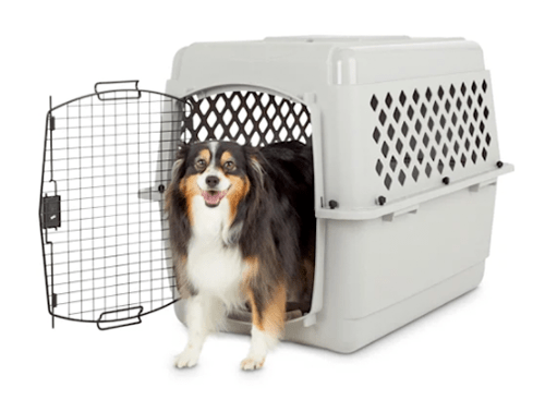 Petco you and hot sale me dog crate