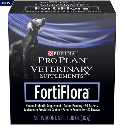 Dog Diarrhea Or Loose Stools Petco