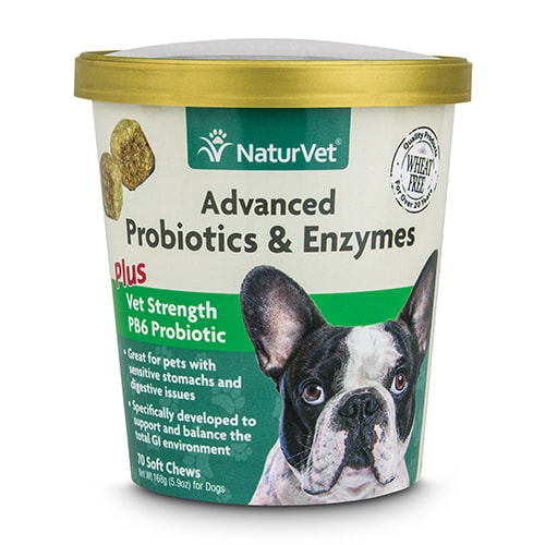 Dog Diarrhea Or Loose Stools Petco