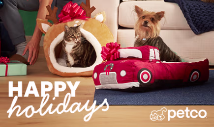 A cat in a festive bed and and Yorkshire Terrier in a red truck bed. Happy Holidays