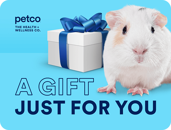 Petco Gift Cards & Personalized e-Gift Cards