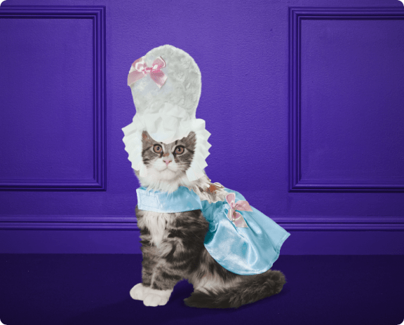 Cat Costumes & Clothing