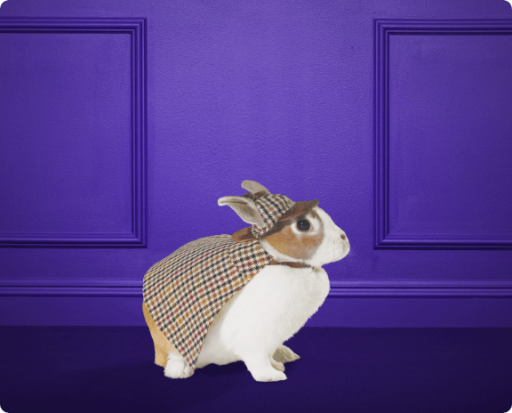 Halloween petco 2022