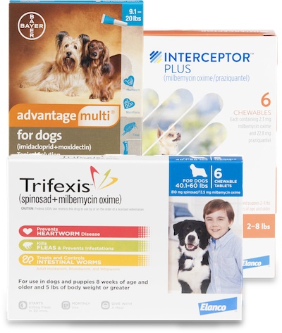 Pet Supplies Pet Food And Pet Products Petco