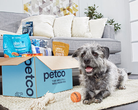 Petco best sale dog sitting