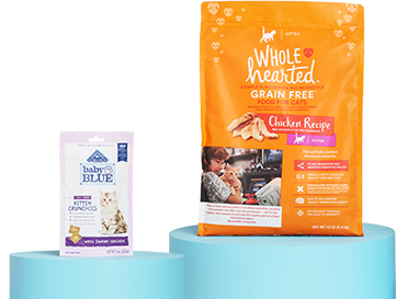 Two bags of cat food with an aqua background.