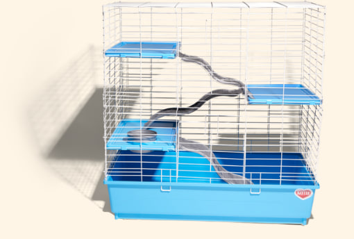 Petco best sale ferret supplies